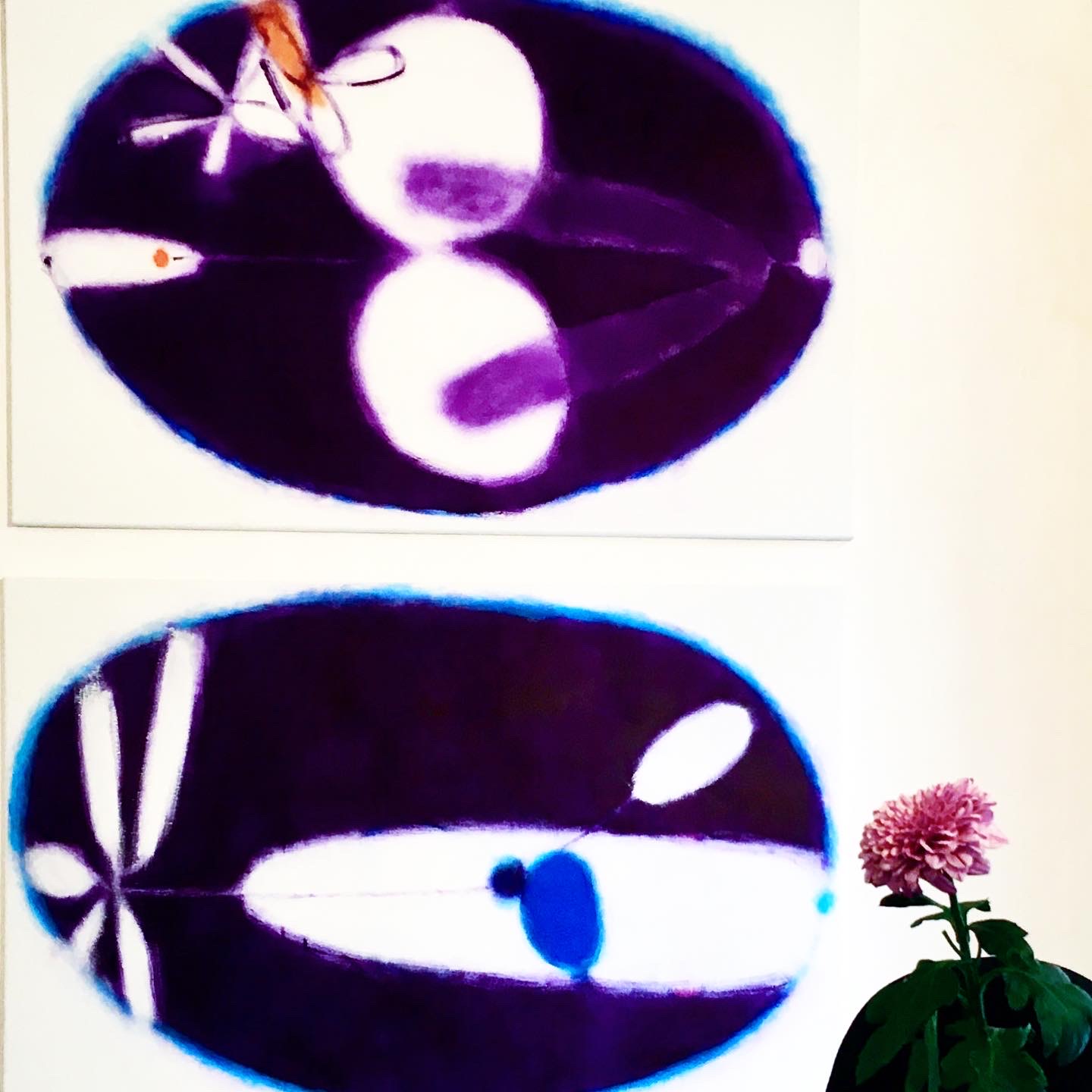 EAF85739 619A 45B0 8641 87ACE8E75503