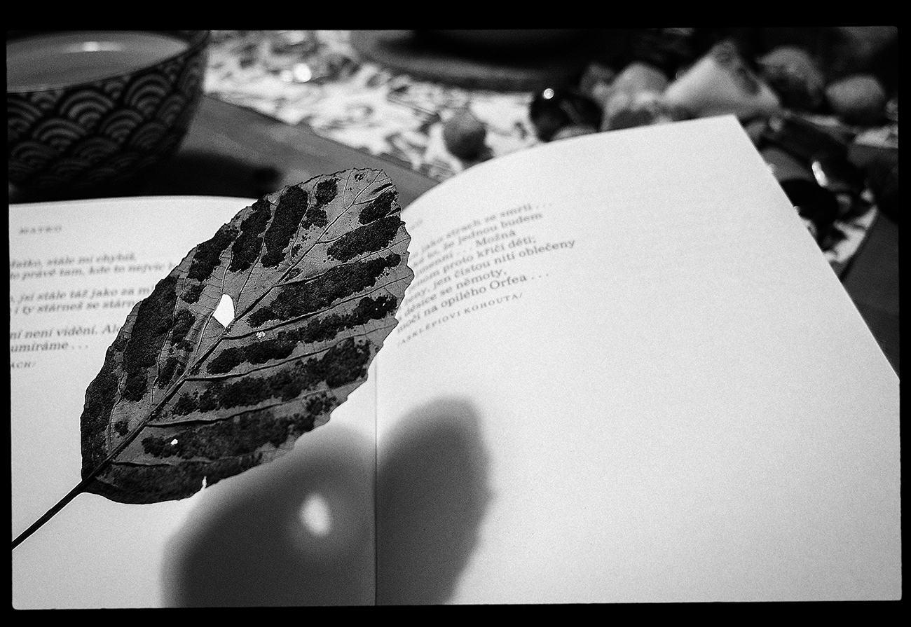 Čtení z listu (pro VH)