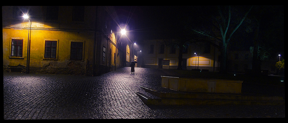 V dešti chodí sama